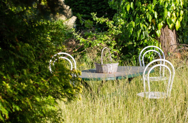 Grass overgrown metal garden furniture